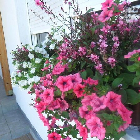 Guesthouse Sara 그라보바츠 외부 사진