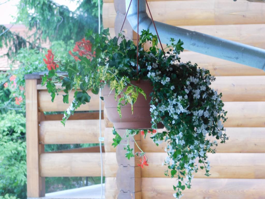 Guesthouse Sara 그라보바츠 외부 사진