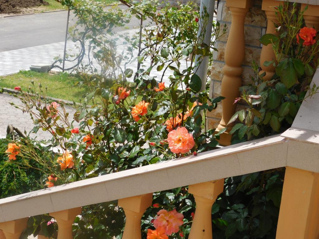 Guesthouse Sara 그라보바츠 외부 사진