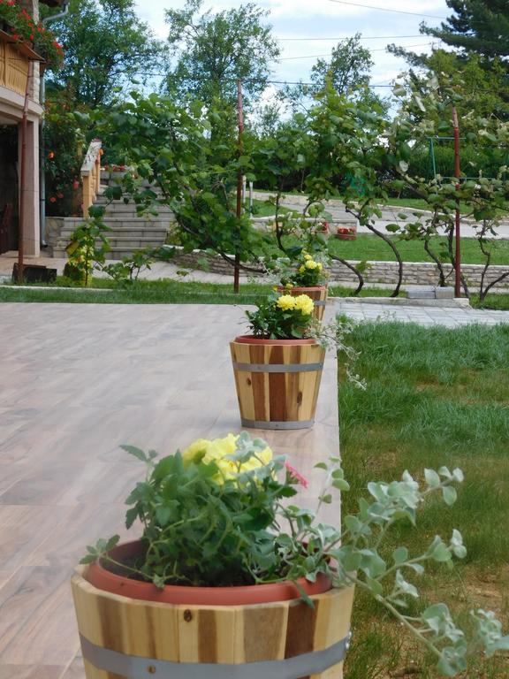 Guesthouse Sara 그라보바츠 외부 사진